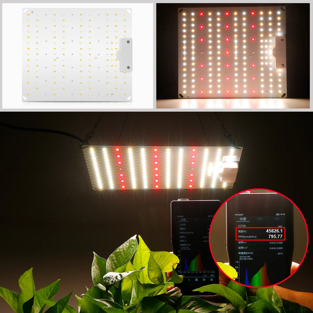 LED Grow Light 500W 600W 800W 1000W Diode Full Spectrum Silent Quantum Board Used for Greenhouse Tent Hydroponic Plant