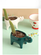 Cute Cat Ceramic Garden Flower Pot Animal Image Cactus Plants Planter Succulent Plant Container Tabletop Ornaments Decoration