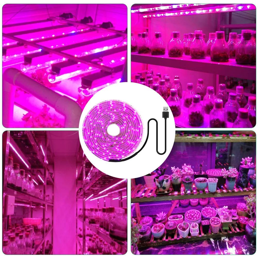 LED Grow Light Full Spectrum 5V USB Grow Light Strip 2835 LED Phyto Lamps For Plants Greenhouse Hydroponic Growing Lamp 1M 2M 3M