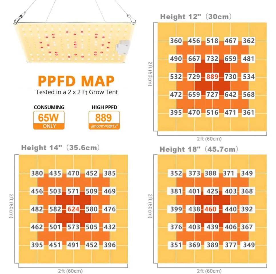LED Grow Light 500W 600W 800W 1000W Diode Full Spectrum Silent Quantum Board Used for Greenhouse Tent Hydroponic Plant