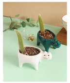 Cute Cat Ceramic Garden Flower Pot Animal Image Cactus Plants Planter Succulent Plant Container Tabletop Ornaments Decoration