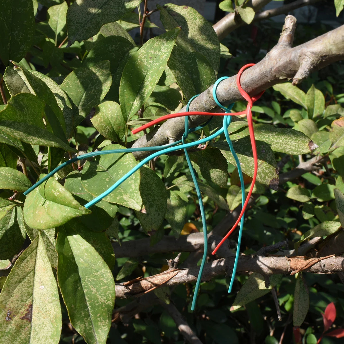 100PCS Oblate Gardening Cable Ties Reusable Iron Wire Twist Tie for Flower Plant Multifunction Climbing Vines Coated Fix Strings