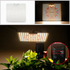 LED Grow Light 500W 600W 800W 1000W Diode Full Spectrum Silent Quantum Board Used for Greenhouse Tent Hydroponic Plant