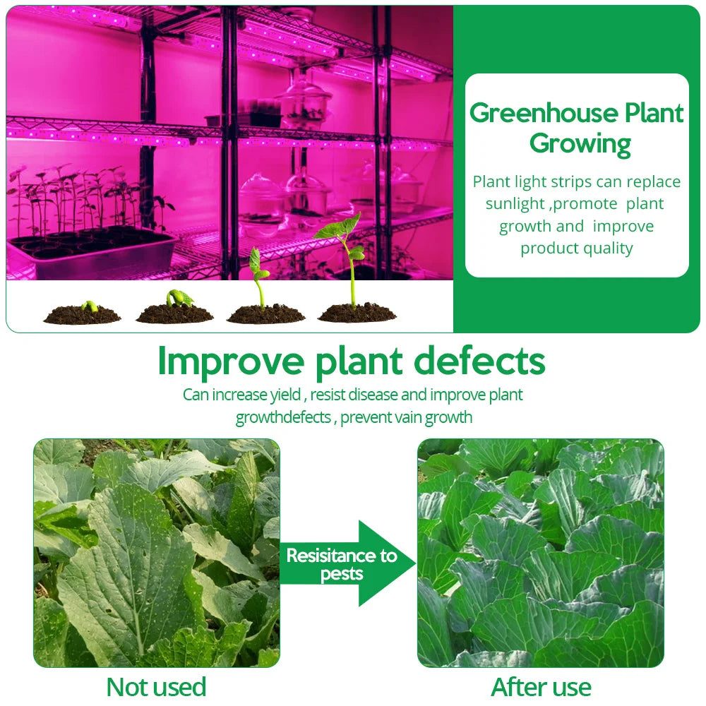LED Grow Light Full Spectrum 5V USB Grow Light Strip 2835 LED Phyto Lamps For Plants Greenhouse Hydroponic Growing Lamp 1M 2M 3M
