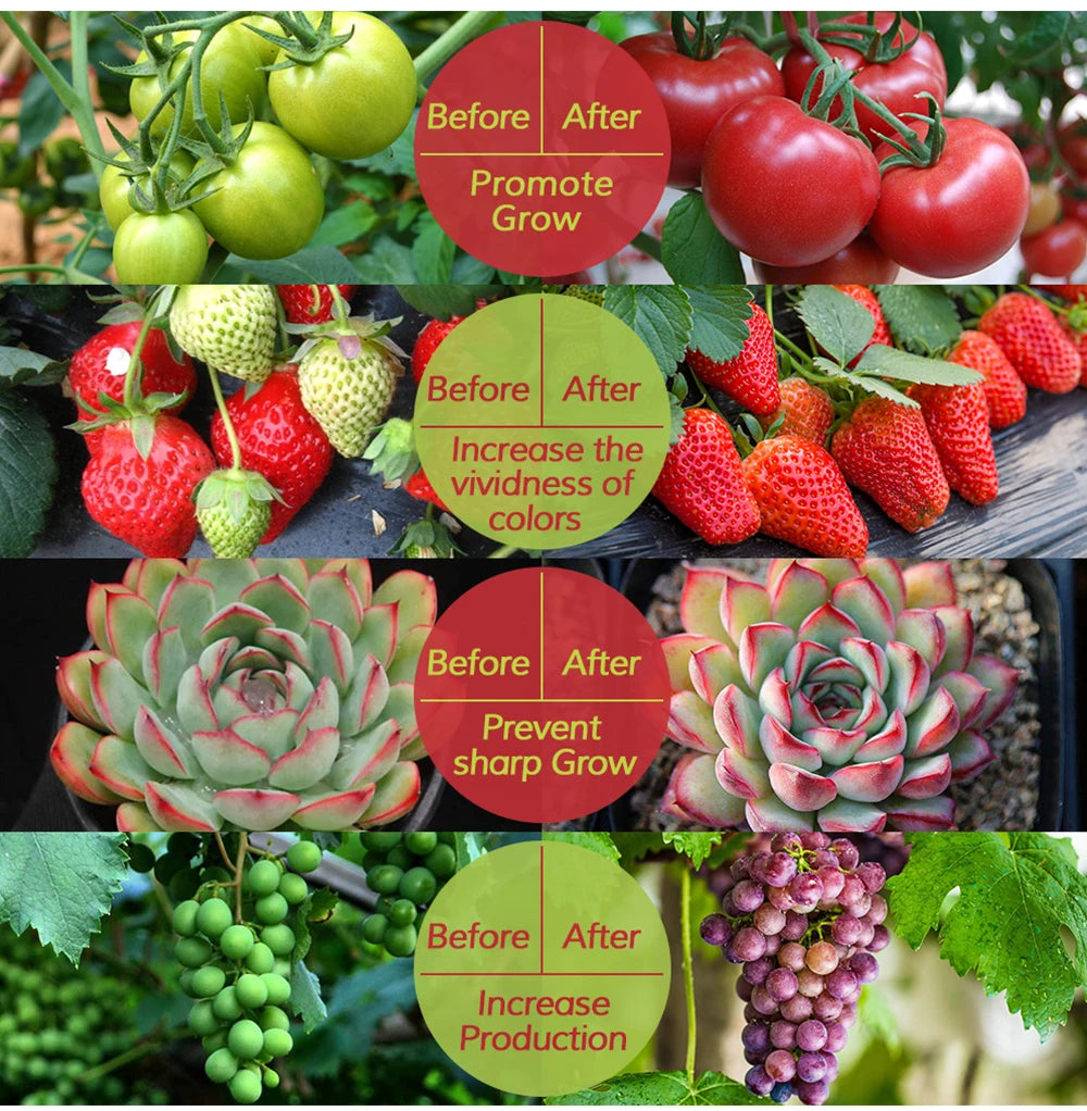 LED Grow Light Full Spectrum 5V USB Grow Light Strip 2835 LED Phyto Lamps For Plants Greenhouse Hydroponic Growing Lamp 1M 2M 3M
