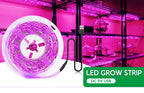 LED Grow Light Full Spectrum 5V USB Grow Light Strip 2835 LED Phyto Lamps For Plants Greenhouse Hydroponic Growing Lamp 1M 2M 3M