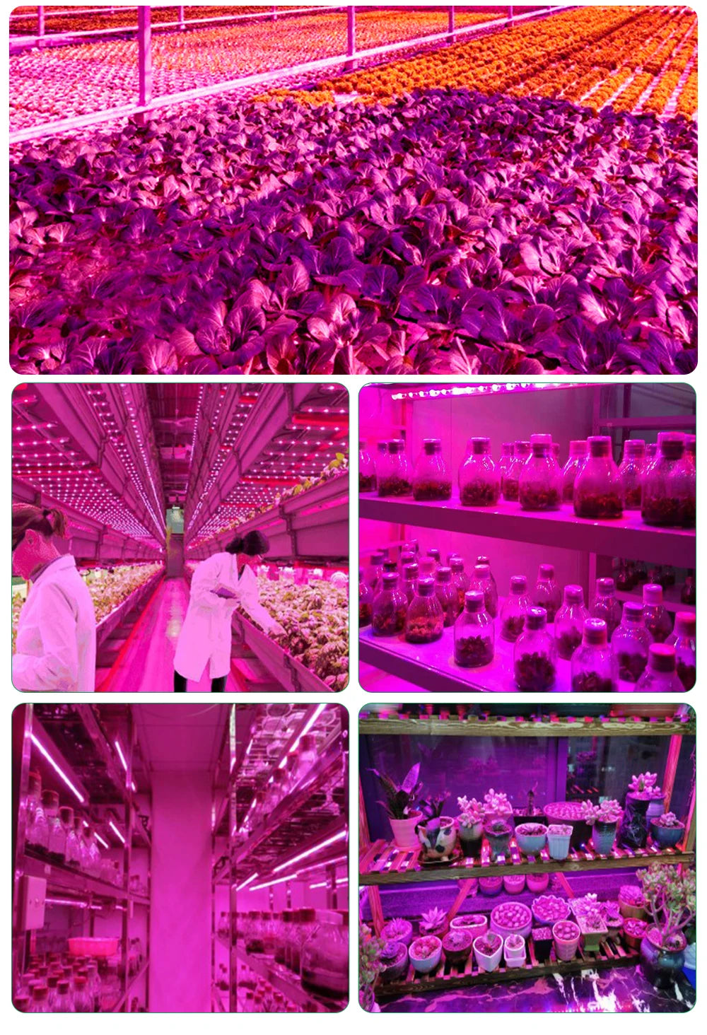 LED Grow Light Full Spectrum 5V USB Grow Light Strip 2835 LED Phyto Lamps For Plants Greenhouse Hydroponic Growing Lamp 1M 2M 3M