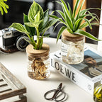 Plant Propagation Station,Hydroponic Acrylic Container Vase Planter Jars for Desks, Houses, Home Garden Decorations and Gifts