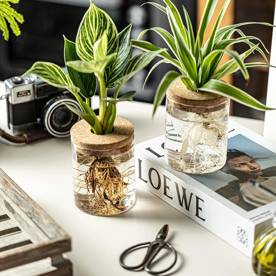 Plant Propagation Station,Hydroponic Acrylic Container Vase Planter Jars for Desks, Houses, Home Garden Decorations and Gifts