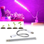 Portable USB LED grow light bar with a flexible silver neck, emitting red and blue light over indoor potted succulents.