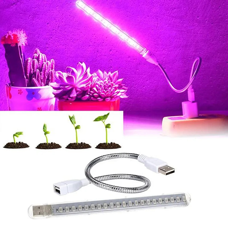 Portable USB LED grow light bar with a flexible silver neck, emitting red and blue light over indoor potted succulents.