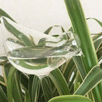 5 Packs Bird-Shaped Self-Watering Globes Perfect For Automatic Flower Watering And Home Garden Tools Drip Water Seepage Device