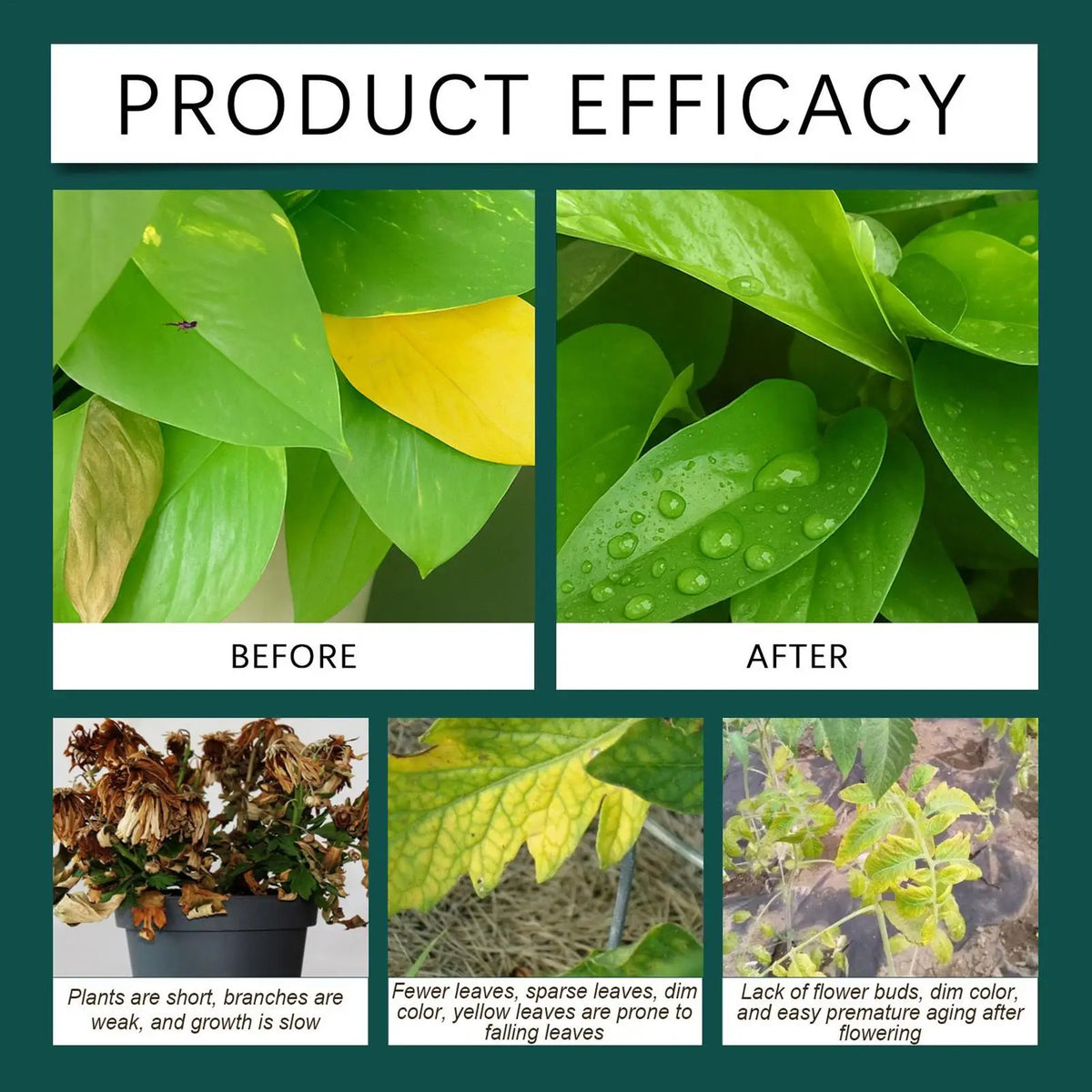 Root Drops for Propagation Rooting Liquid Fertilizer Supplement 100ml Root Booster for Plants Indoor Gardening Outdoor Gardening