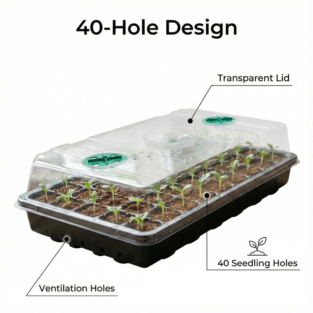 12/40 Holes Seed Starter Tray Seedling Plant Trays with Humidity Vented Domes Bases Seed Starting Indoor Gardening Greenhouse
