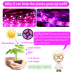 LED Grow Light Full Spectrum 5V USB Grow Light Strip 2835 LED Phyto Lamps For Plants Greenhouse Hydroponic Growing Lamp 1M 2M 3M