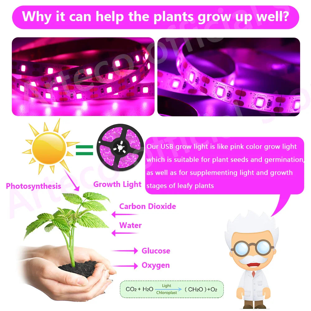 LED Grow Light Full Spectrum 5V USB Grow Light Strip 2835 LED Phyto Lamps For Plants Greenhouse Hydroponic Growing Lamp 1M 2M 3M