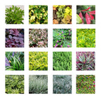 1PC Hanging Garden Plant Wall Flower Pot Container Wall Hanging Vertical Green wall-mounted Plastic Planting Box Home Decor
