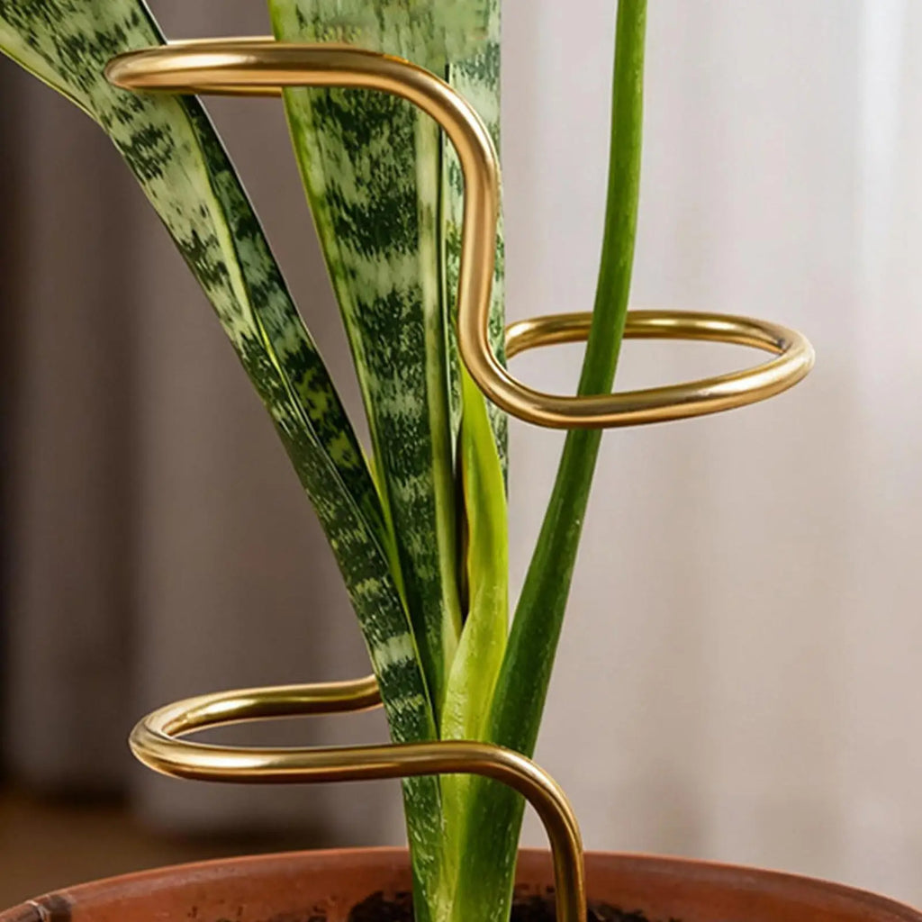 Metal Monstera Plant Support Stake, 32 cm (12.6 in)