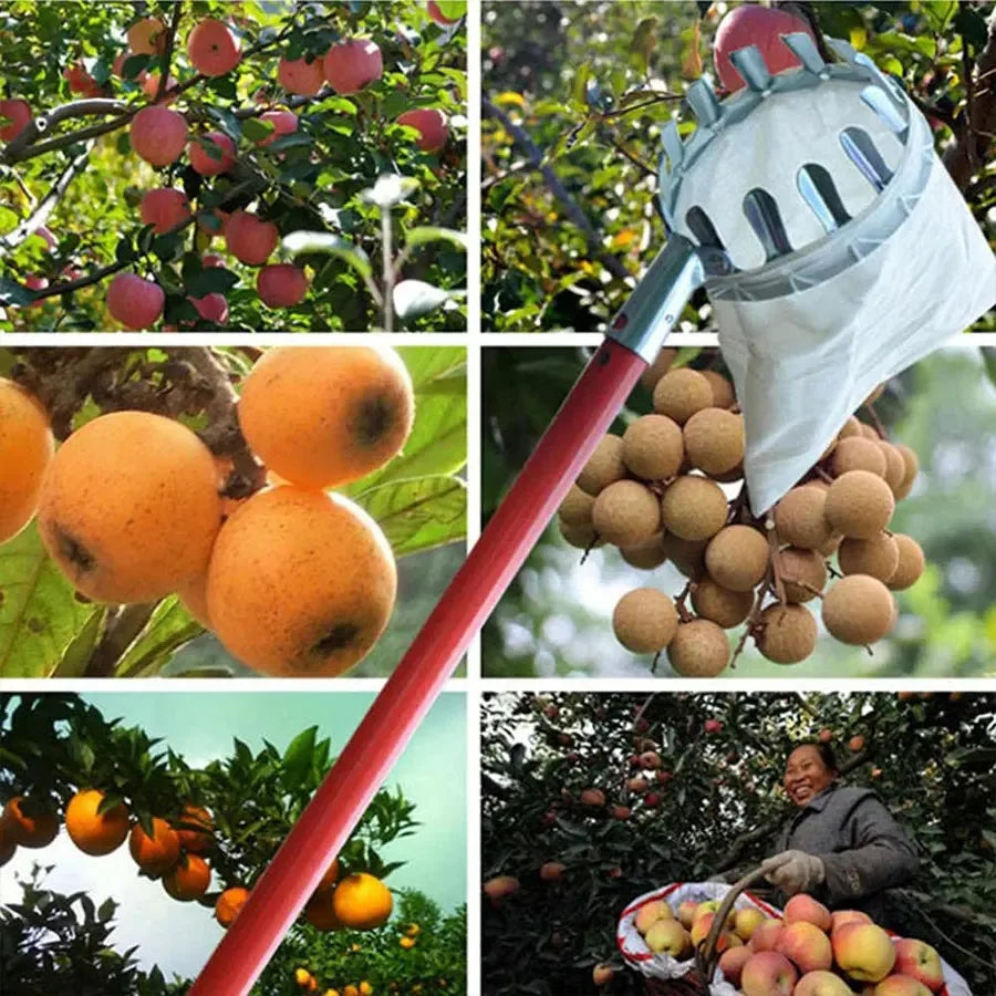3-in-1 Fruit Harvesting Tool Set for Berry Picking with Telescopic Pole and Collection Bag Gardening Supplies