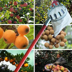 3-in-1 Fruit Harvesting Tool Set for Berry Picking with Telescopic Pole and Collection Bag Gardening Supplies