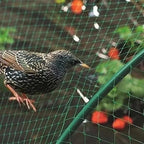 5/10M Garden Protect Netting Anti Birds Net Animals Deer Fencing Mesh for Fruits Trees Plants Stretch Durable Pest Barrier 그물망