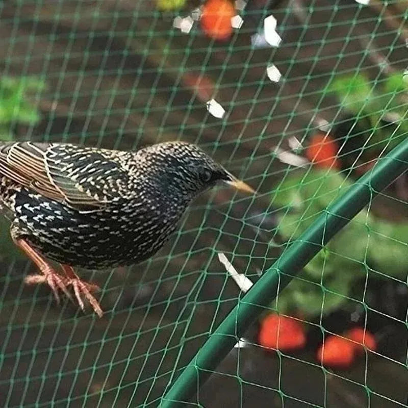 5/10M Garden Protect Netting Anti Birds Net Animals Deer Fencing Mesh for Fruits Trees Plants Stretch Durable Pest Barrier 그물망