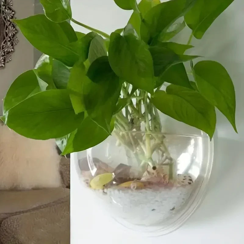 1Pc Free Punching Hydroponics Planter Home Decoration Pot Wall Hanging Mount Bubble Aquarium Bowl Fish Tank Aquarium Home Mini
