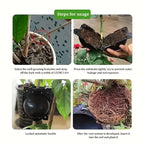 12pcs Plant Root Growing Box Propagation Reusable Rooting Grafting Breeding Seedling Garden Plant Rooting Ball Garden Supplies