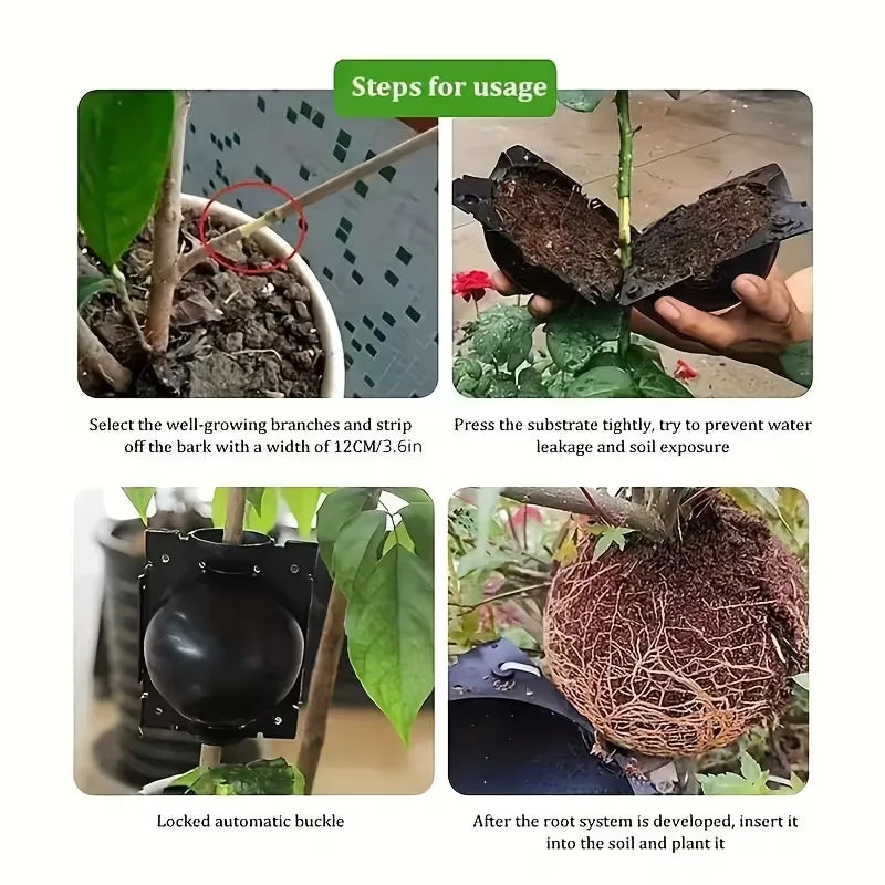 12pcs Plant Root Growing Box Propagation Reusable Rooting Grafting Breeding Seedling Garden Plant Rooting Ball Garden Supplies