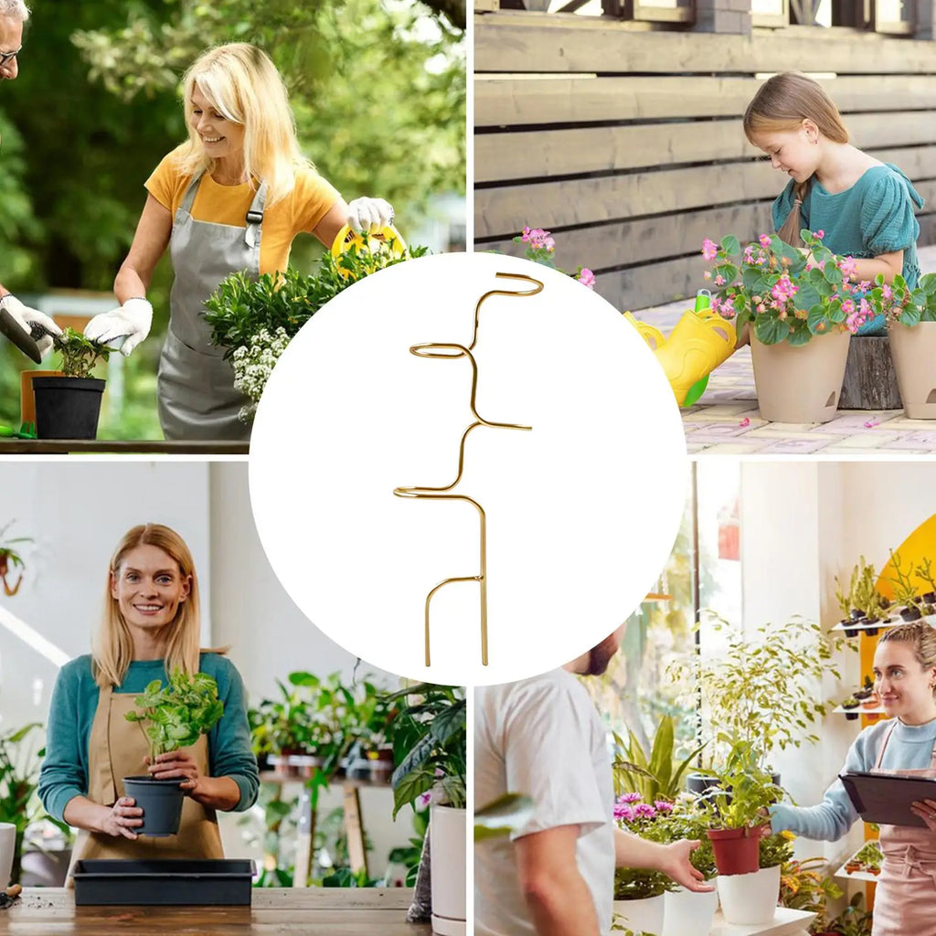 Metal Monstera Plant Support Stake, 32 cm (12.6 in)