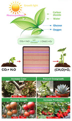 LED Grow Light Full Spectrum Phyto Lamp AC85-240V 40W  For Indoor Grow Tent Plants Growth Light