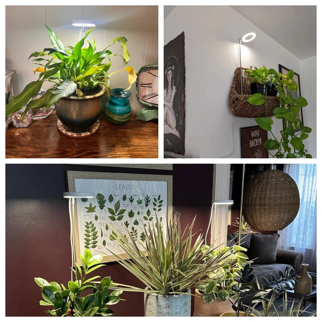 Grow Light Full Spectrum Light LED Grow Indoor Height Angle Adjustable Ring Grow Light Timer Height Adjustable USB Powered