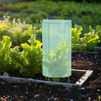 FLYY-Plastic Plant Seedling Cover- For Garden For Vegetable Fruit Flower Yard Patio Greenhouse Outdoor Use-For Gardening Protect