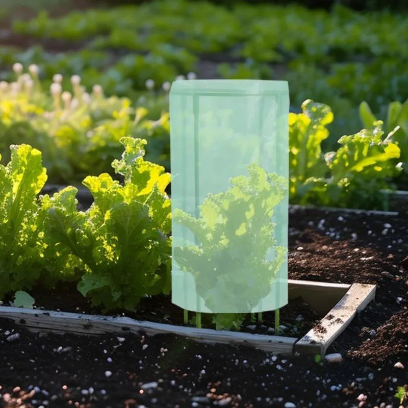 FLYY-Plastic Plant Seedling Cover- For Garden For Vegetable Fruit Flower Yard Patio Greenhouse Outdoor Use-For Gardening Protect