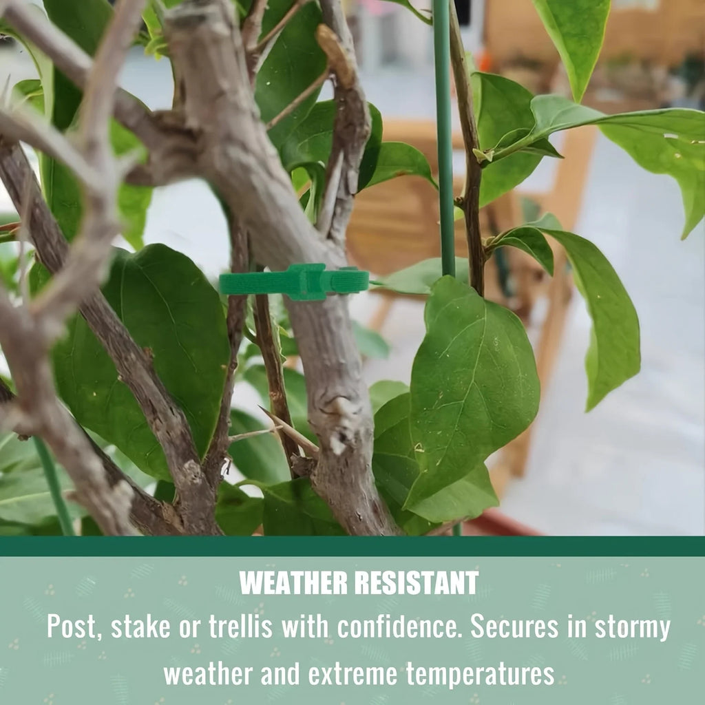 50/100pcs Reusable Adjustable Non-Slip Nylon Plant Ties with Hook and Loop Fasteners, Ideal for Gardening Applications
