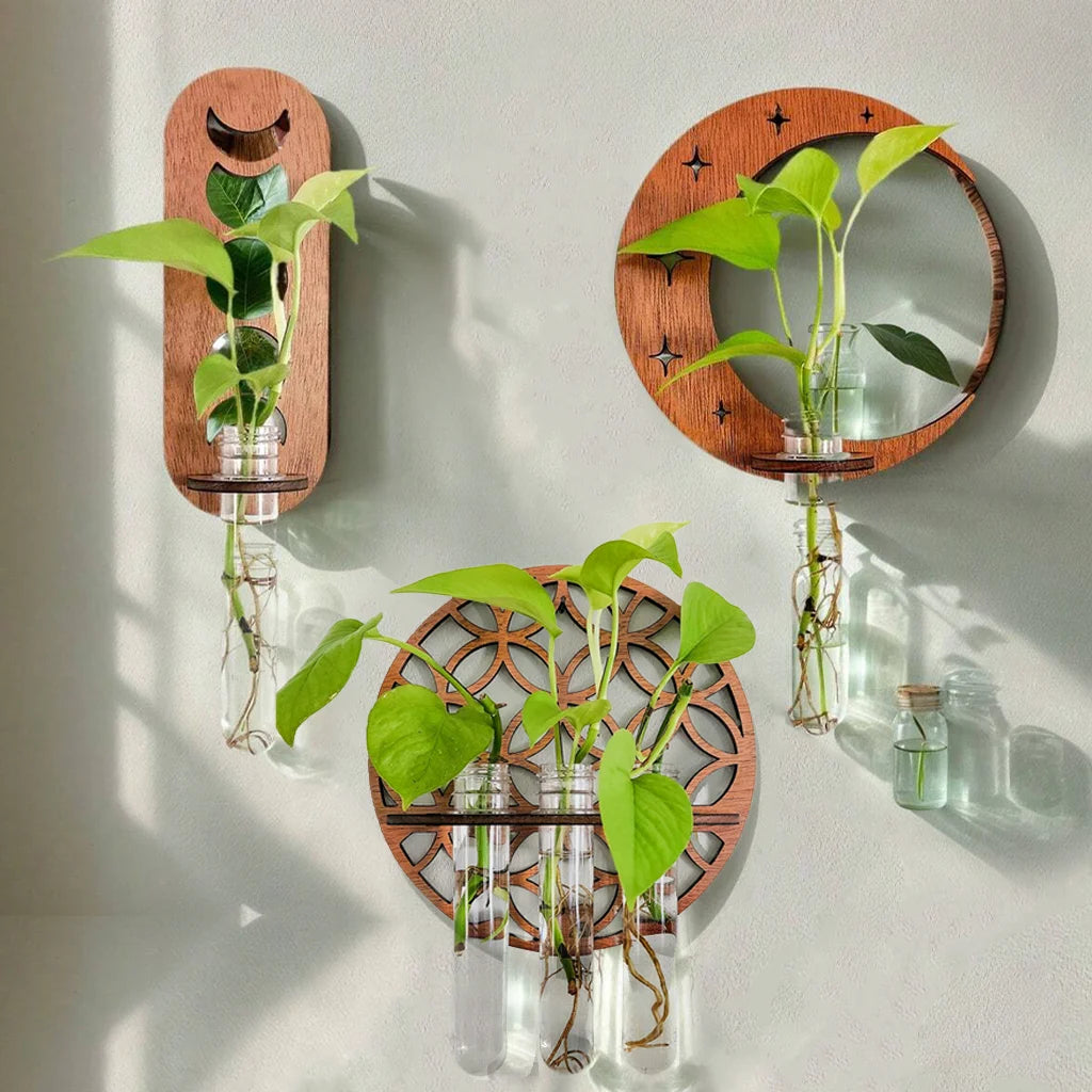 Plant Propagation Station Wall Hanging Wooden Moon Phase Plant Terrarium for Hydroponics Home Office Decor Air Plant Holder Gift