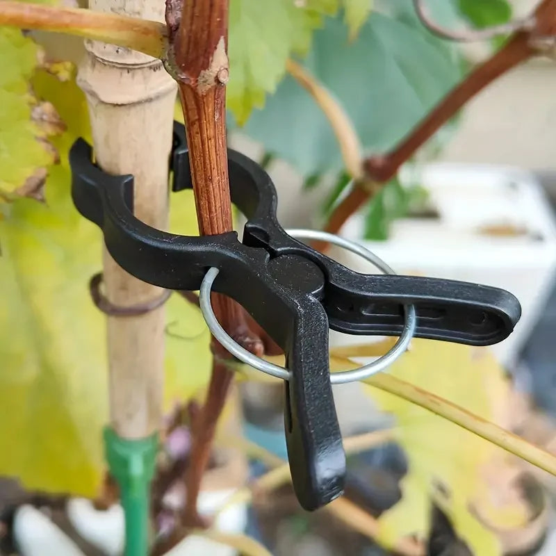 10/30/50Pcs Plant Stem Branch Gardening Clip Ties Support Plastic Clips for Climbing Plants Fixing Clamps Plant Support
