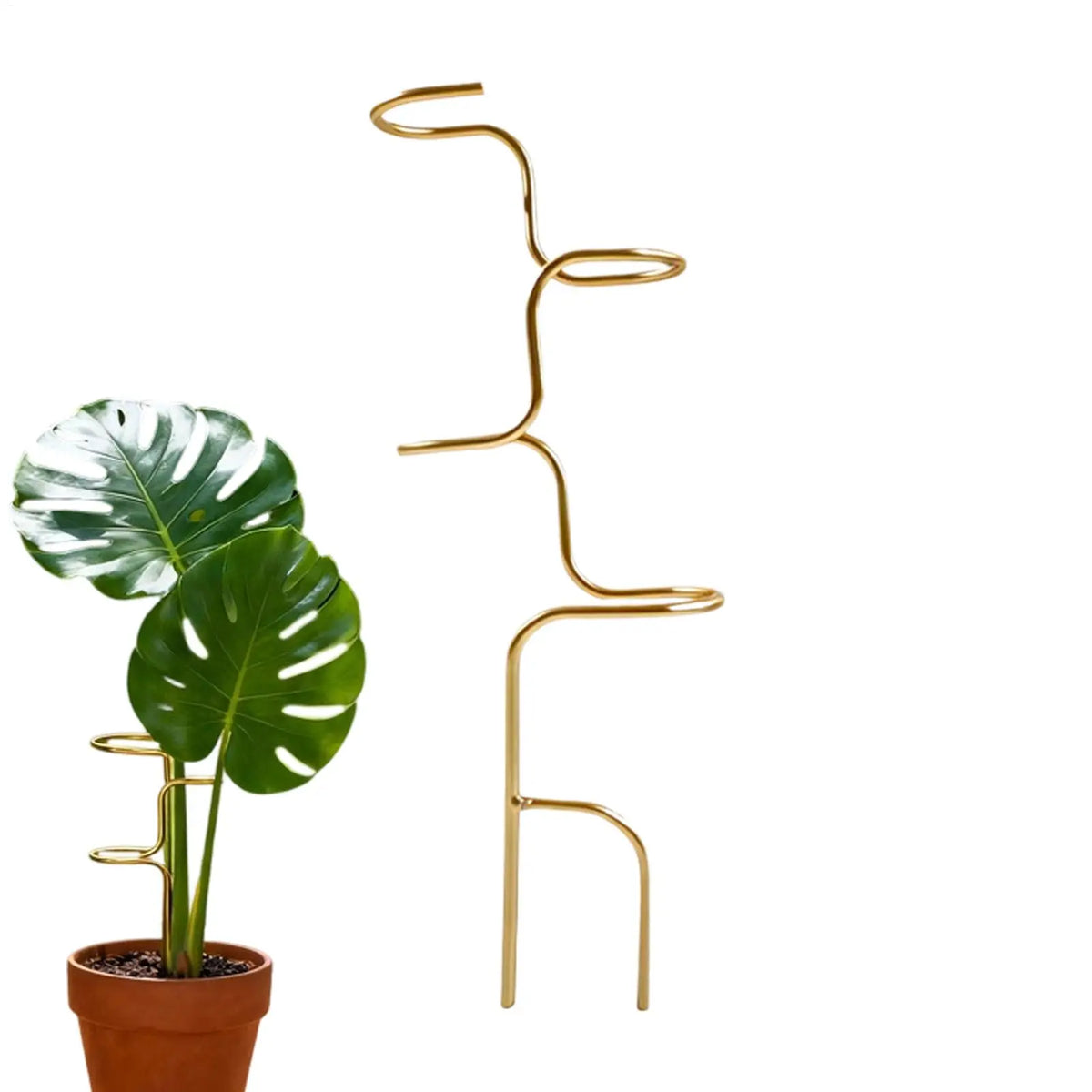 Metal Monstera Plant Support Stake, 32 cm (12.6 in)