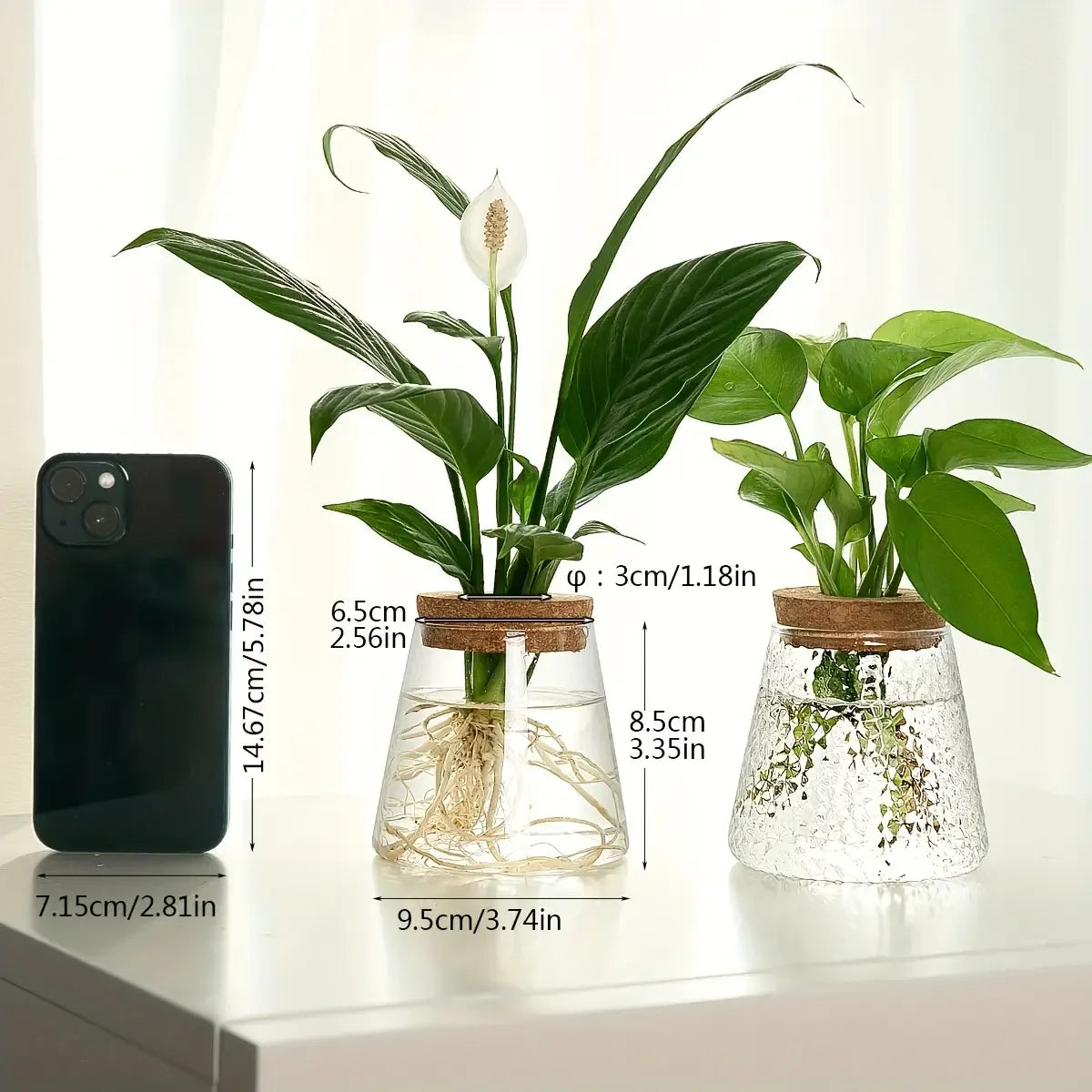 Propagation Station with Glass Vases - Tabletop Plant Rack for Hydroponic Cuttings, Home Office Decor