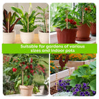 Electroculture Plant Stakes, Copper Garden Antennas