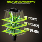 LED Grow Light 500W 600W 800W 1000W Diode Full Spectrum Silent Quantum Board Used for Greenhouse Tent Hydroponic Plant