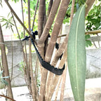 Flexible Garden Plant Ties Heavy Duty Adjustable Plant Twist Ties 5X Reusable Tree Training System Shrub Tying Tool For