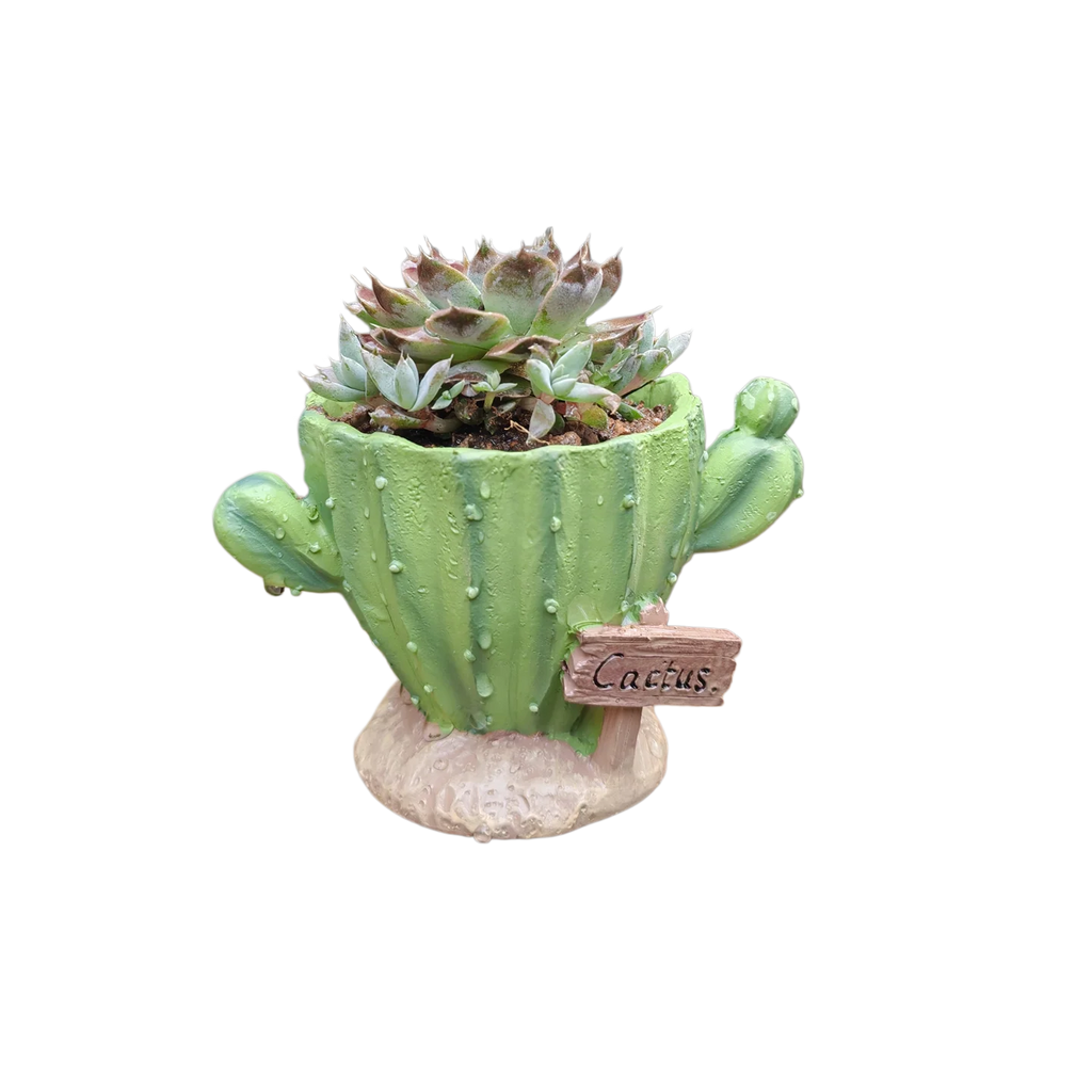 Cactus Flower Planter Pot Cute Mini Resin Cactus Flowerpot With Drainage Holes Cactus Indoor Outdoor Decor