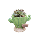 Cactus Flower Planter Pot Cute Mini Resin Cactus Flowerpot With Drainage Holes Cactus Indoor Outdoor Decor