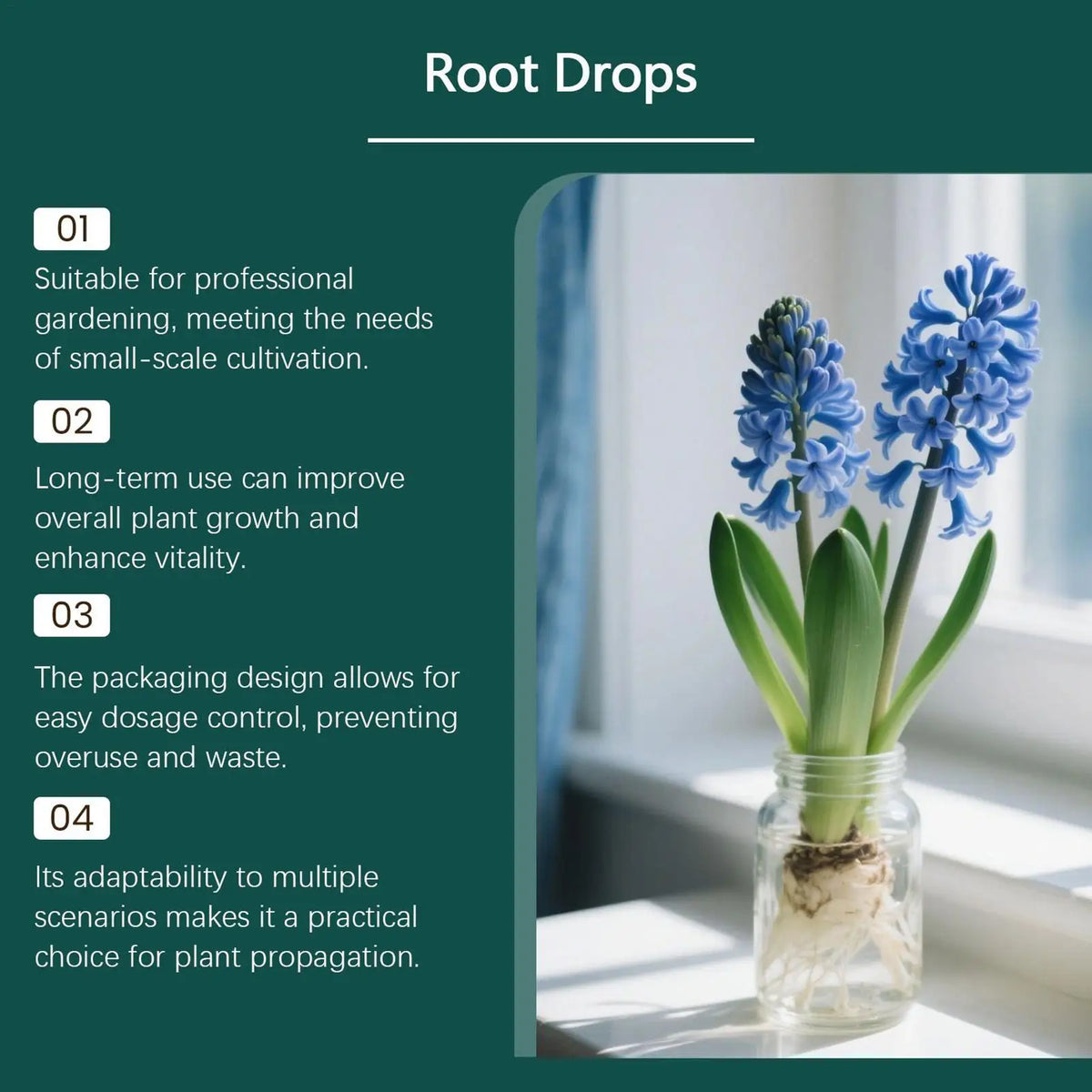 Root Drops for Propagation Rooting Liquid Fertilizer Supplement 100ml Root Booster for Plants Indoor Gardening Outdoor Gardening
