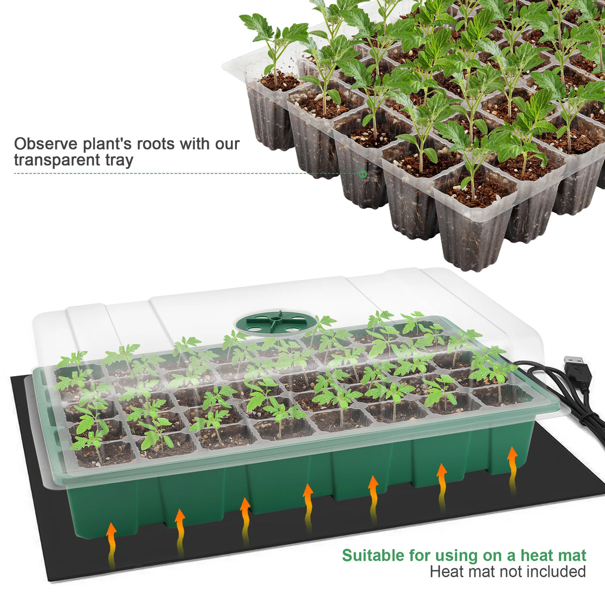 3 pcs Seed Tray, 40 Holes Cell Propagator Growth Thickening Seedling Start Growth Tray With Transparent Cover Greenhouse And Gar