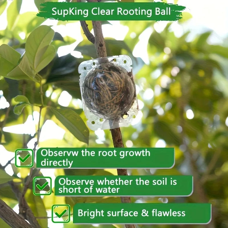 10pcs Plant Propagation Box Set High-Pressure Grafting, Cutting, and Rooting Kit for Tree Branches with Pressure Balls