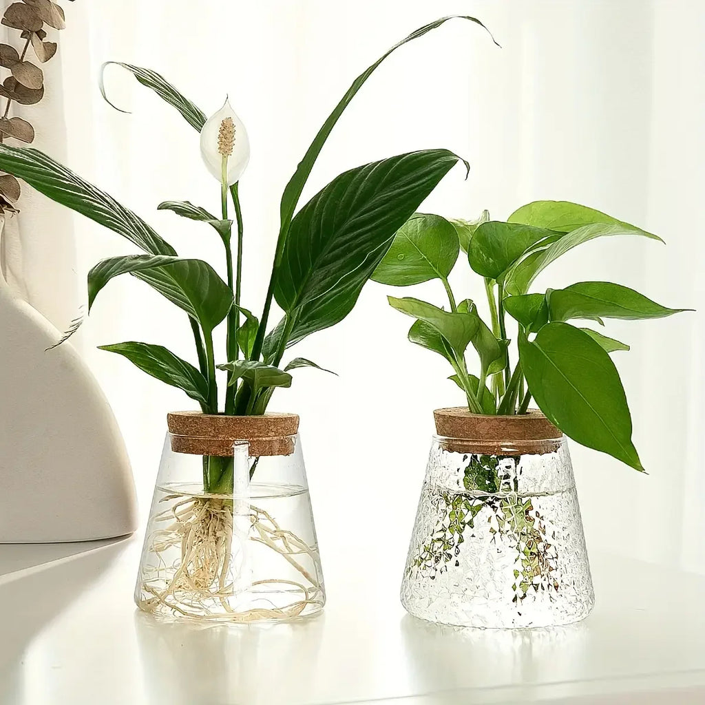 Propagation Station with Glass Vases - Tabletop Plant Rack for Hydroponic Cuttings, Home Office Decor