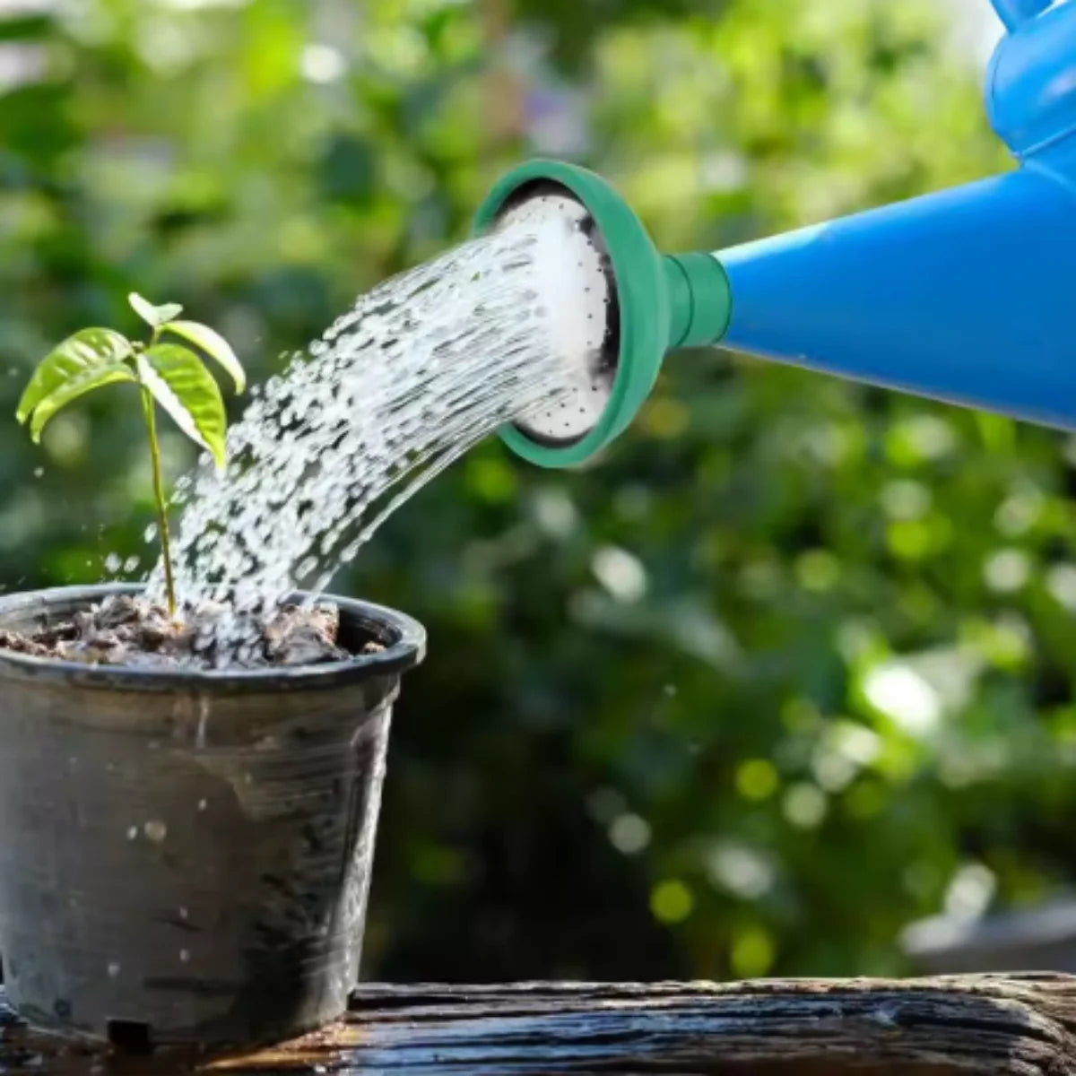 2Pcs Universal Watering Can Replacement Shower Head Rubber Plant Flower Vegetable Irrigation Can Rose Head Garden Watering Tools