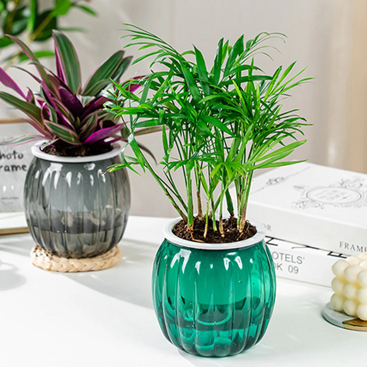 Clear Self Watering Planters Pots Modern Transparent Plants Care Pots for Garden Enthusiast Lover Gift